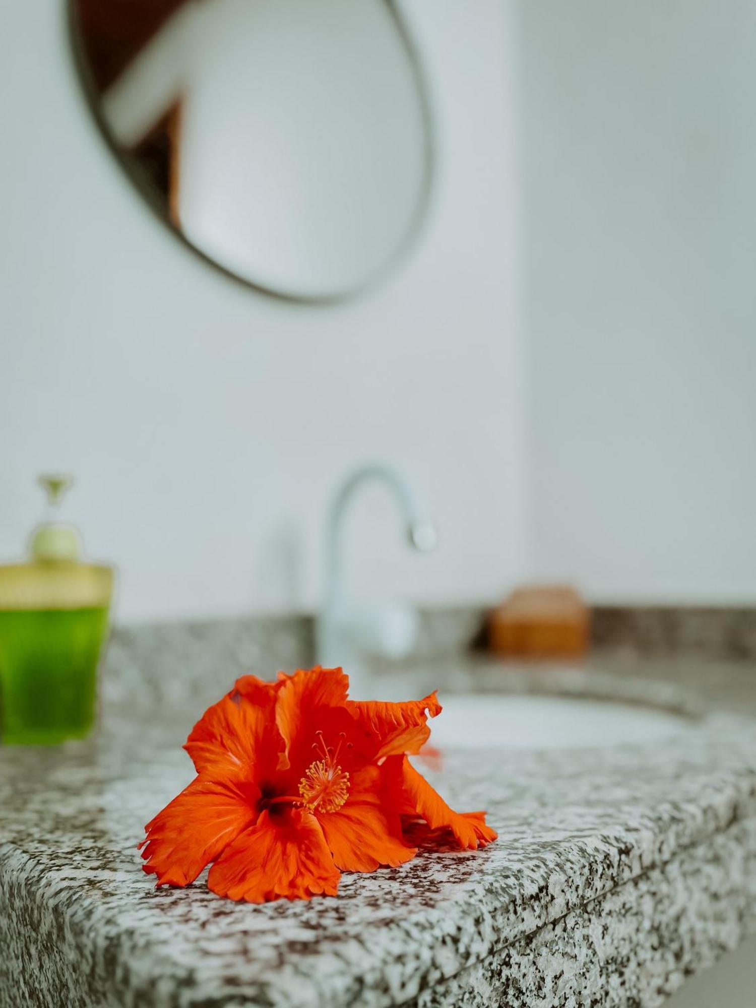Guedes Residence Velha Boipeba Dış mekan fotoğraf